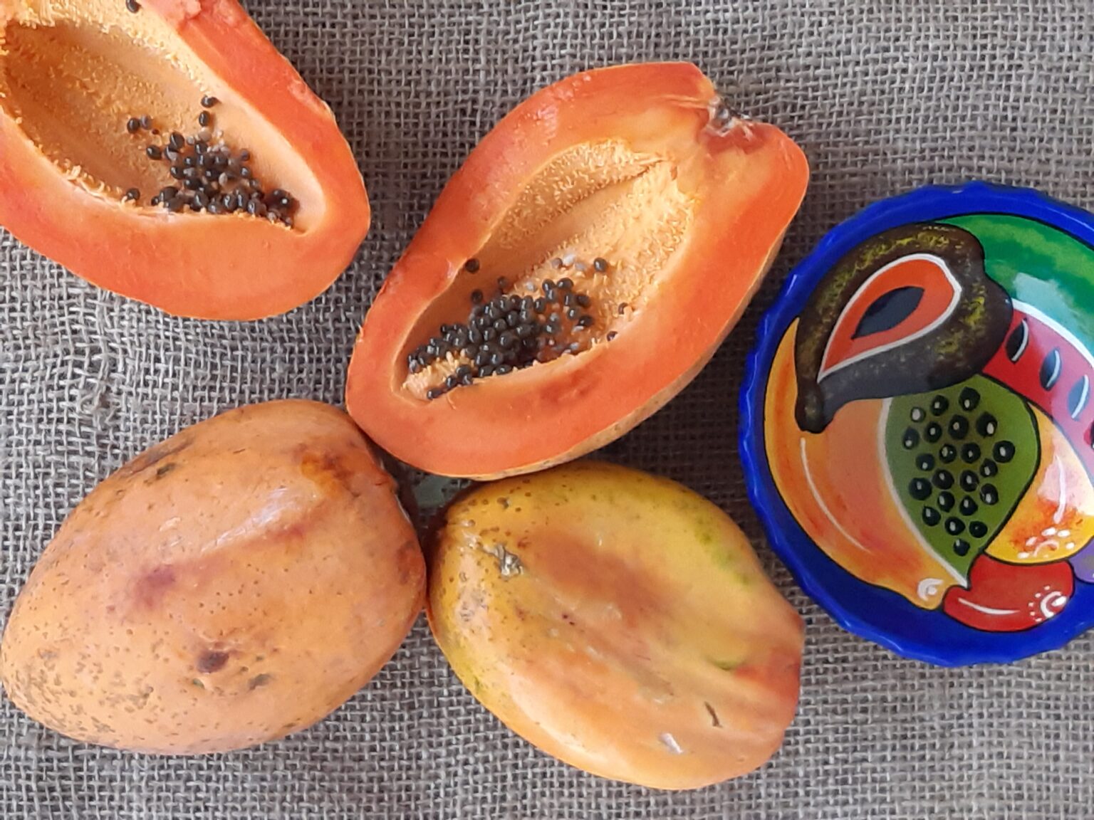 Papaya